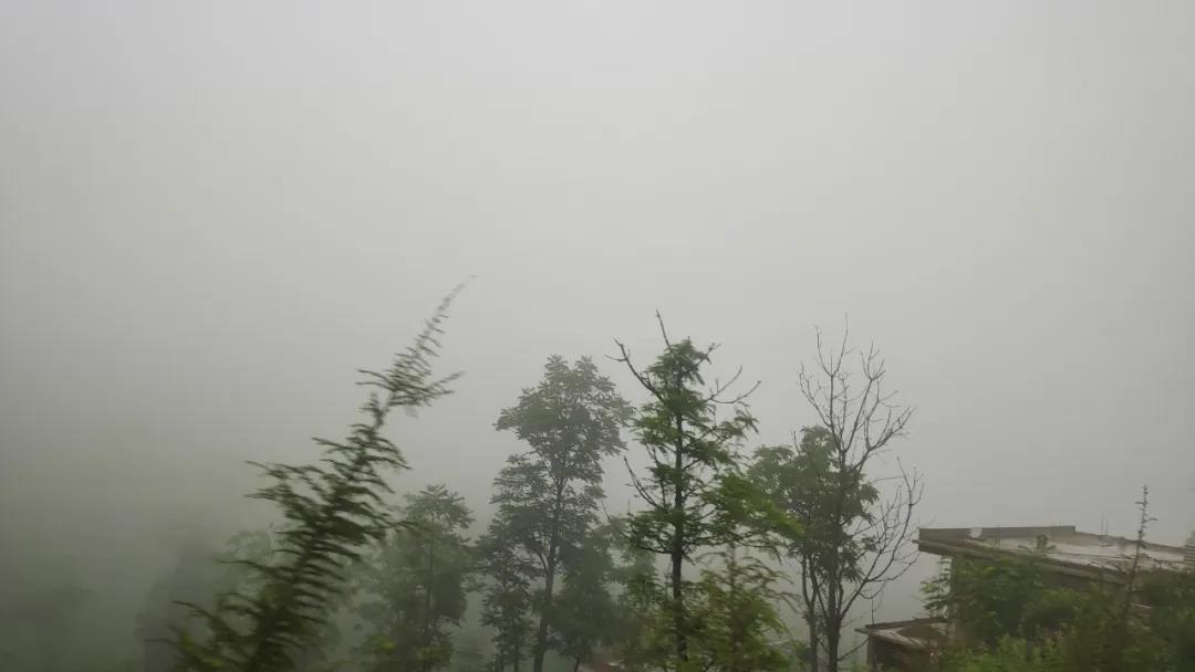 陰雨天路況2.jpg
