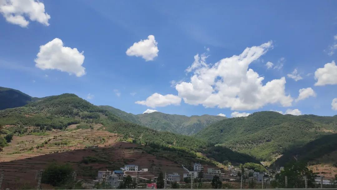 路上風(fēng)景3.jpg
