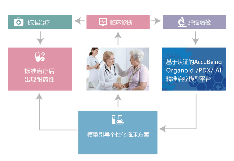 個性化醫(yī)療流程.png